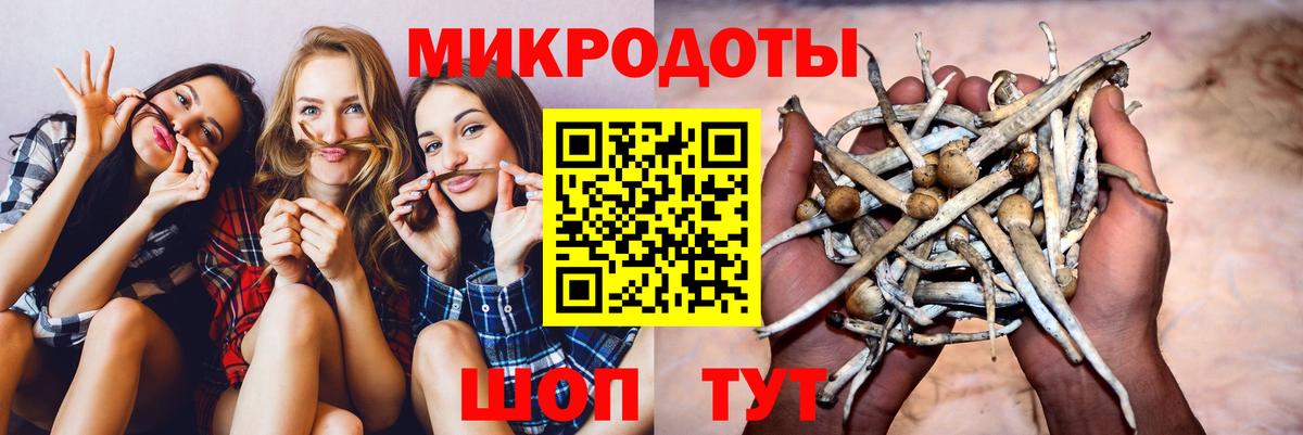 Псилоцибиновые грибы ЛСД  Вход с VPN  купить наркотики цена  Электросталь 