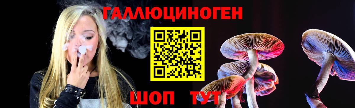 Псилоцибиновые грибы MAGIC MUSHROOMS Электросталь